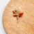 Corsages Roest Kindercorsage